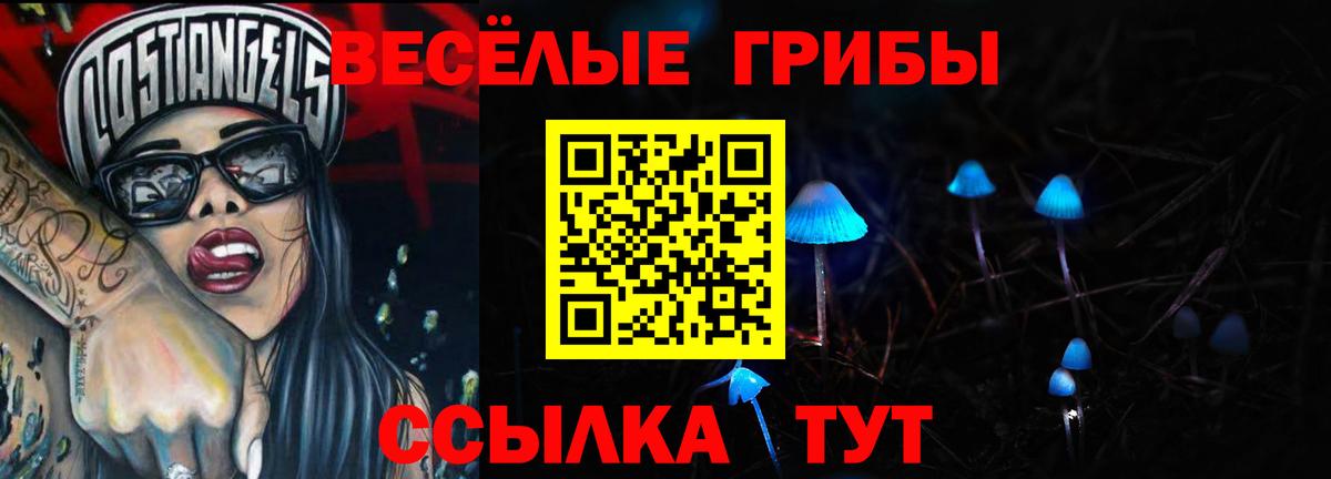 Псилоцибиновые грибы MAGIC MUSHROOMS  Вход с VPN  Щёлково 